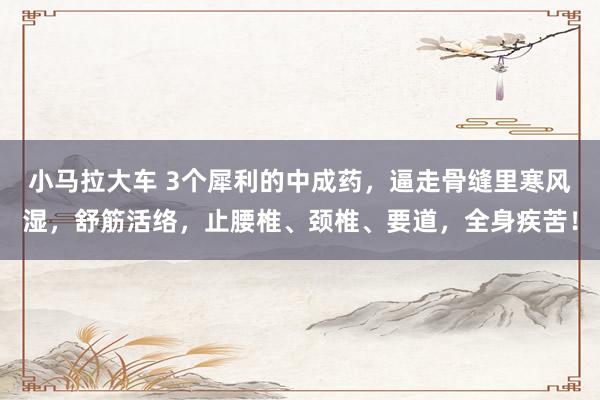 小马拉大车 3个犀利的中成药，逼走骨缝里寒风湿，舒筋活络，止腰椎、颈椎、要道，全身疾苦！