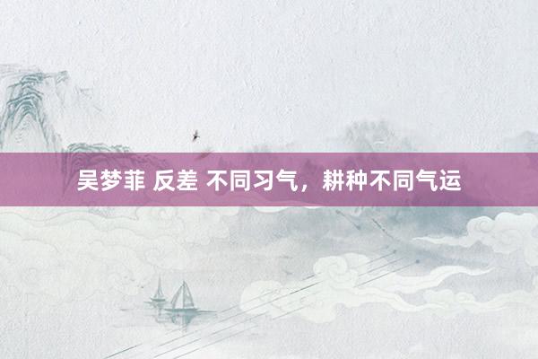 吴梦菲 反差 不同习气，耕种不同气运