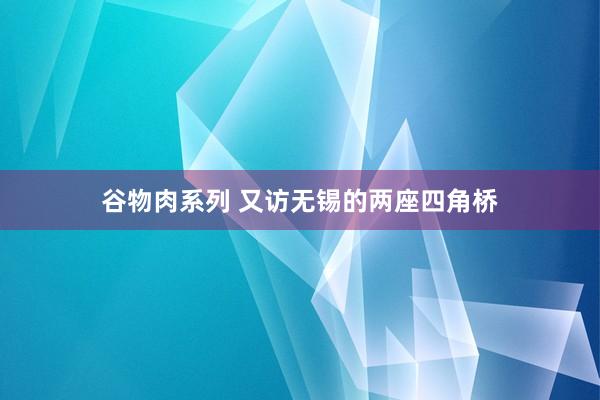 谷物肉系列 又访无锡的两座四角桥