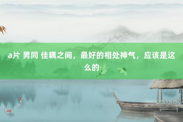 a片 男同 佳耦之间，最好的相处神气，应该是这么的