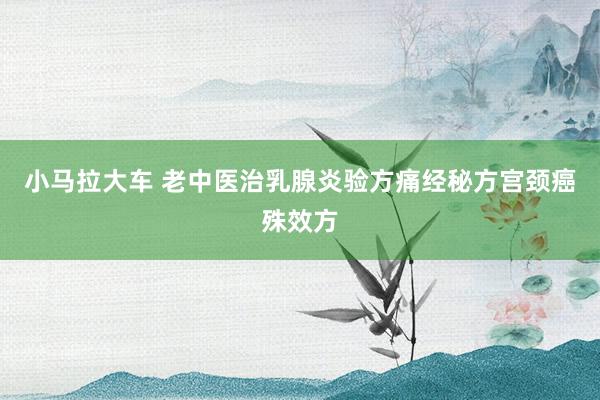 小马拉大车 老中医治乳腺炎验方痛经秘方宫颈癌殊效方