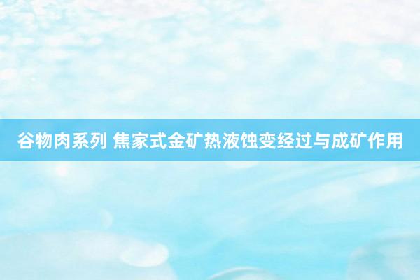 谷物肉系列 焦家式金矿热液蚀变经过与成矿作用
